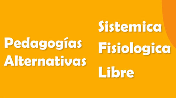 Guía completa para Homeschoolers - Imagen 5